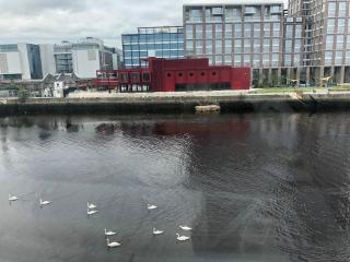 3bed 3bath Liffey river view - Dublino - 7