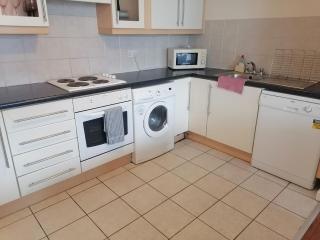 3bed 3bath Liffey river view - Dublino - 1