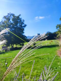 Chambre d'hôtes chez " Les Ligibell " - 5