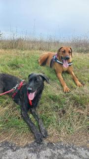 Aux couleurs de la terre d'oc - 8