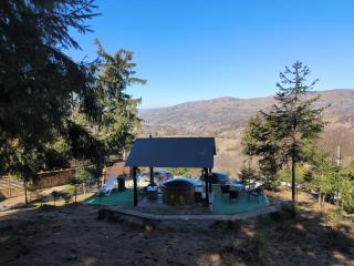 Vila Alpina Maramureș - 1