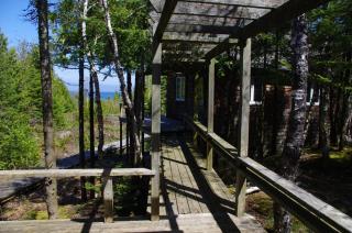 Boardwalk Pines at Tobermory - 3