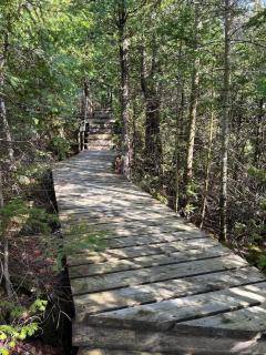 Boardwalk Pines at Tobermory - 1