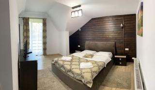 Vila Alpina Maramureș - 3