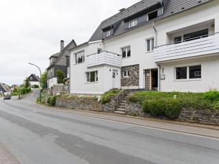 Schönes Ferienhaus in Winterberg mit Terrasse - 7