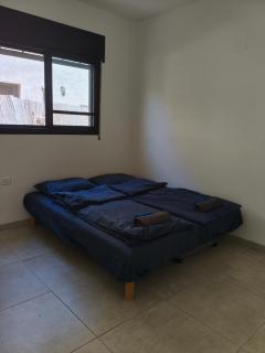 אורן בשדה - 0