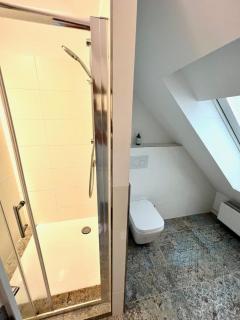 Gallery apartment near Strasbourg - 5