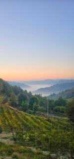 Podere Martina in Altalanga - 8