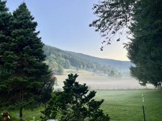 Chalet du Grand Arbre - 2