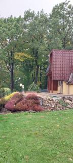 Szumią Dęby - Marcyporęba - 4