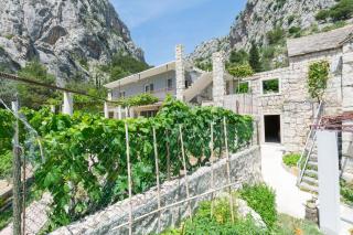 Apartments Petea Omis - 9