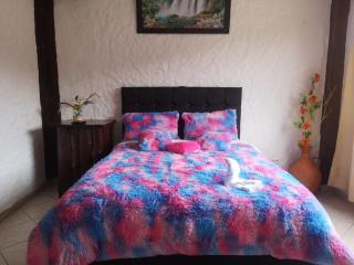 The Frailejon House - 4