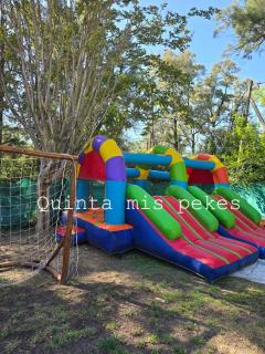 Casaquinta MISPEKES - 1