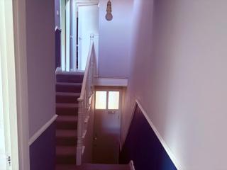 Tottenham Stay-Diem - 5