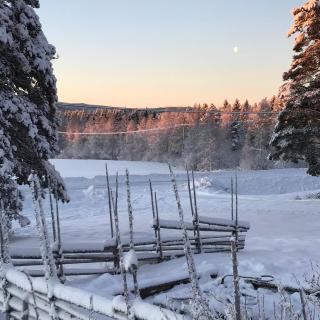 Aurora Valley Cottage - 9