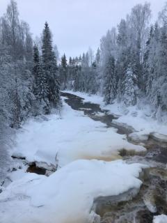 Aurora Valley Cottage - 8