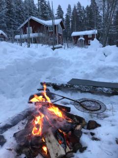 Aurora Valley Cottage - 6