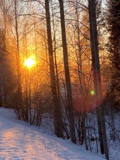 Aurora Valley Cottage - 1