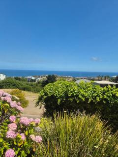 To C Garden Cottage - 4