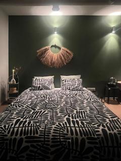 Unique, newly renovated studio - 5