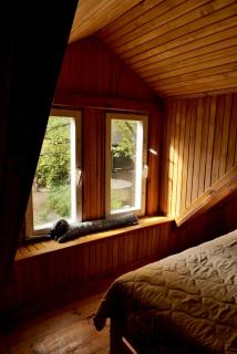 Dom z linią brzegową Narwi - 1