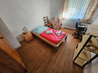 Les Vignes - Villa à 1 mn de Metz - 8