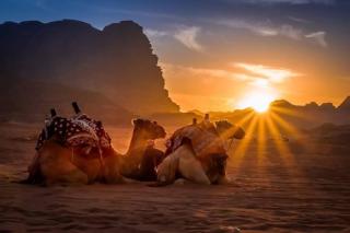 Wadi rum bubble camp - 8