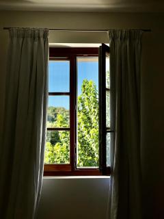 Mas des Mûriers - 6