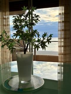 Appartement T3 avec vue exceptionnelle sur la mer - 6