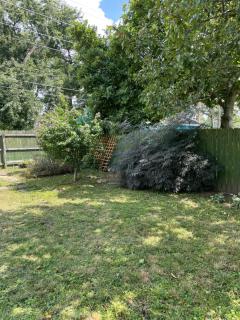 Private downtown cottage - 9