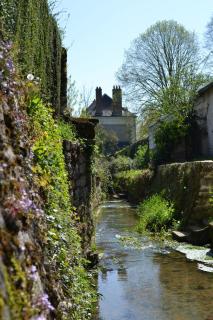 Gîte authentique près Zoo de Beauval et Châteaux - 5