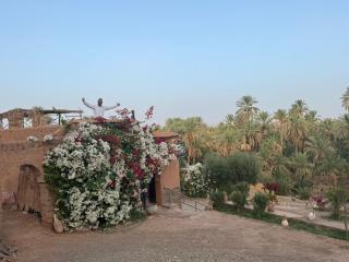 Auberge et Restaurant chez Alilouch - 6