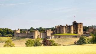 7 dodds lane alnwick - 7