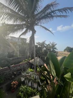 Casa Jujube - Guest House - 1