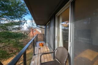 Top Notch City Escape A Fusion of Rest and Fun - Cincinnati - 8