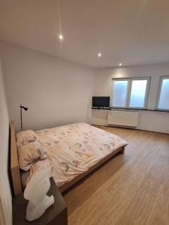 Peace and quiet in Liège, private room and bathroom - 0