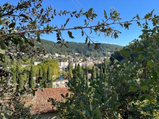 Meublé Voltour dans la Villa Denise - 5