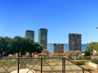 Le petit Medicis - 0