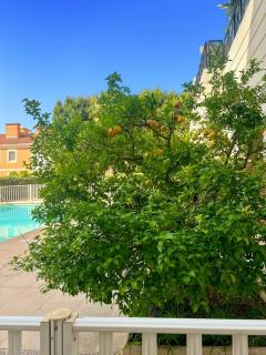 Le petit Medicis - 2