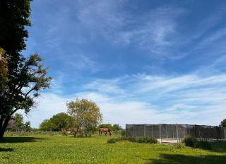 Espectacular Casa de Campo en Areco - 1