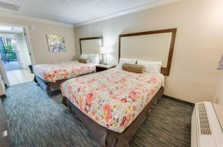 Heated pools and direct oceanfront at Coral Beach - 8