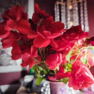 Royal Boutique Hotel, Surrey - 4