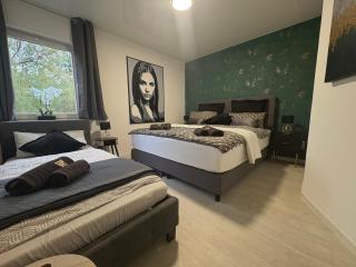 Superior Suite Sweet Home Dresden mit Kamin und großer Sonnenterrasse - 5