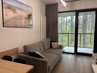 Apartament Sosnowy AKTENA Shellter Rogowo - 7