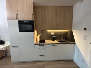 Apartament Sosnowy AKTENA Shellter Rogowo - 5