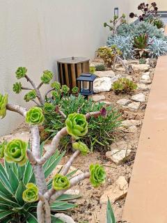 La Maison Dorée - 5