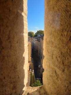 Magnifique duplex design - 7