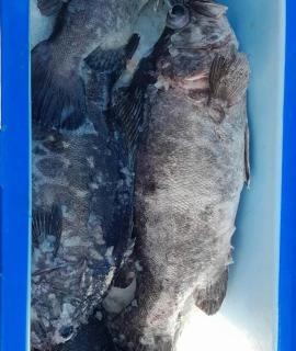 Family home in Whatuwhiwhi - 3