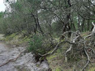 4 person holiday home in Nørre Nebel - 1