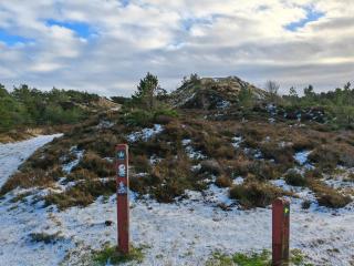 Luxury Retreat with Pool - By Traum Ferienwohnungen - 4